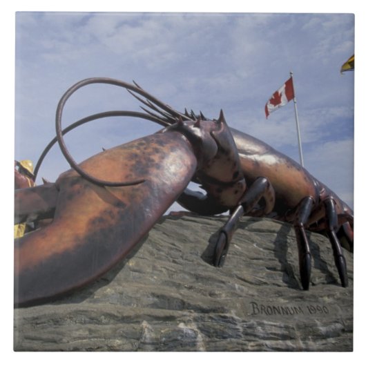 NA、カナダ、ニューブルンズウィック、シェディアク、世界 タイル (正面)