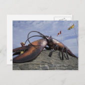 NA、カナダ、ニューブルンズウィック、シェディアク、世界 ポストカード (正面/裏面)