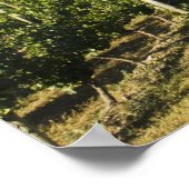 NA;カナダ;ブリティッシュコロンビア;オカナガン渓谷; ポスター (角)