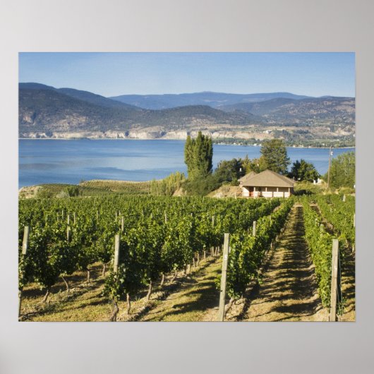 NA;カナダ;ブリティッシュコロンビア;オカナガン渓谷; ポスター (正面)