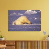 NA、カナダ、マニトバ、チャーチル、ホッキョクグマ キャンバスプリント (インサイチュ (リビング))