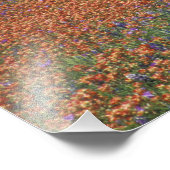 NA,テキサス州,テキサス州ヒルカントリー，ブチャンダム， フォトプリント            (角)