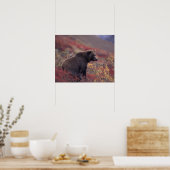 NA、米国、アラスカ、デナリNP。女性のグリズリー ポスター (キッチン)