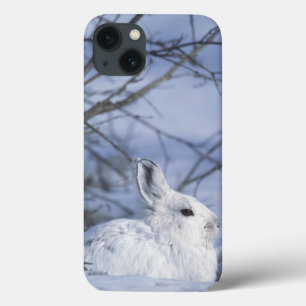 NA、米国、アラスカ。 北極国民の野性生物 iPhone 13ケース