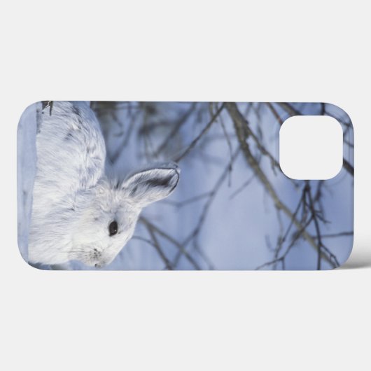 NA、米国、アラスカ。 北極国民の野性生物 Case-Mate iPhoneケース (裏面 (横))