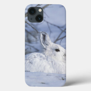 NA、米国、アラスカ。 北極国民の野性生物 iPhone 13ケース