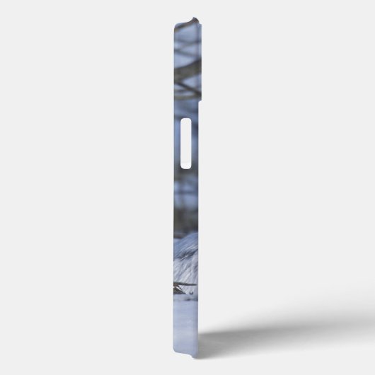 NA、米国、アラスカ。 北極国民の野性生物 Case-Mate iPhoneケース (裏面 / 右)