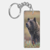 NA、米国、アラスカ、Denali NPの灰色グマ キーホルダー (正面左)