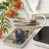 NA、米国、アラスカ、Denali NPの灰色グマ キーホルダー (正面右)