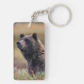 NA、米国、アラスカ、Denali NPの灰色グマ キーホルダー (裏面)