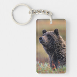 NA、米国、アラスカ、Denali NPの灰色グマ キーホルダー