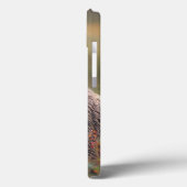 NA、米国、アラスカ、Denali NPの灰色グマ Case-Mate iPhoneケース (裏面 / 左)