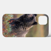 NA、米国、アラスカ、Denali NPの灰色グマ Case-Mate iPhoneケース (裏面 (横))