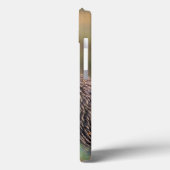 NA、米国、アラスカ、Denali NPの灰色グマ Case-Mate iPhoneケース (裏面 / 左)