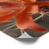 NA、米国、アリゾナ、サンザビエル。クラレット杯サボテン ポスター (角)