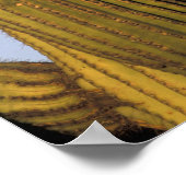 NA、米国、アリゾナ、ツーソン。角素晴らしフクロウ ポスター (角)