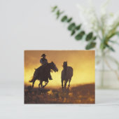 NA、米国、オレゴン、セネカ語、Ponderosa牧場、カウボーイ3 ポストカード (スタンド正面)