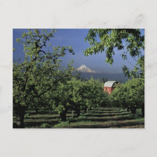 NA、米国、フッド川Mt.のフードの近くのオレゴン、との ポストカード (正面)