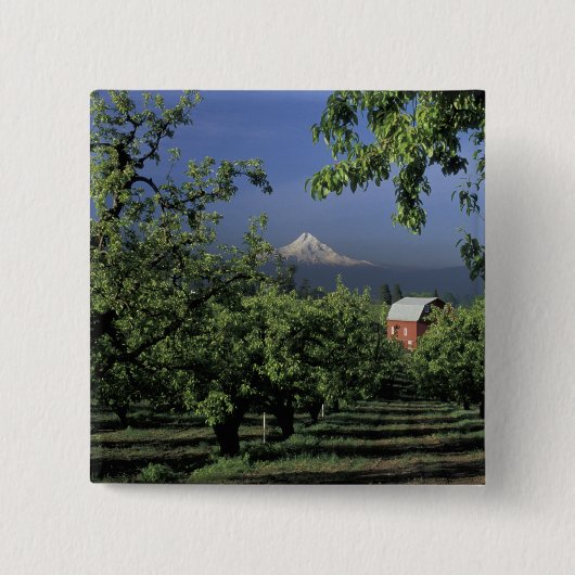 NA、米国、フッド川Mt.のフードの近くのオレゴン、との 缶バッジ (正面)