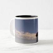 NA、米国、マサチューセッツのNantucketの島、3 ツートーンマグカップ (正面左)