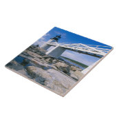 NA、米国、メイン、ポートクレイド。マーシャル点 タイル (側面)