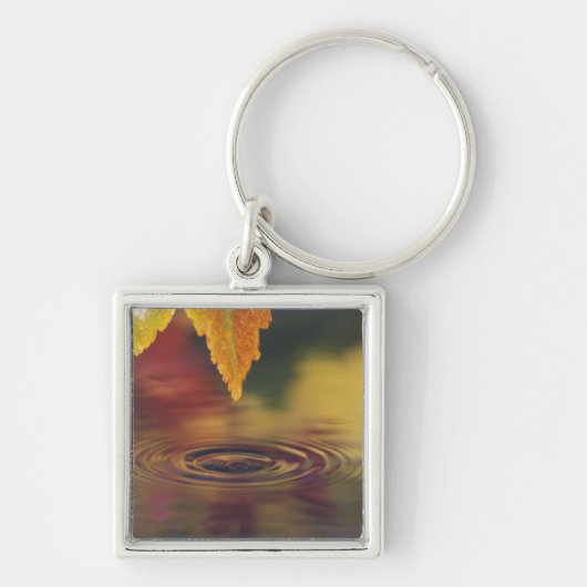 NA、米国、太平洋北西部 キーホルダー (正面)