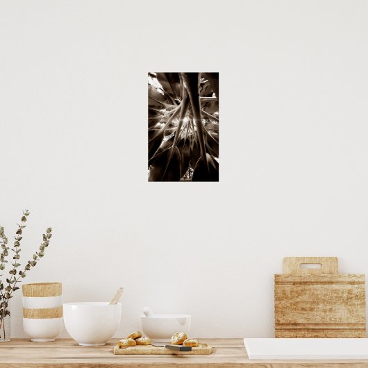 Na direção do sol ポスター (キッチン)