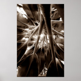 Na direção do sol ポスター