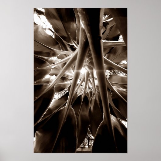 Na direção do sol ポスター (正面)