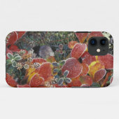 NA, USA, アラスカ州。デナリ国立公園。ベアベリー2 Case-Mate iPhoneケース (裏面(横))