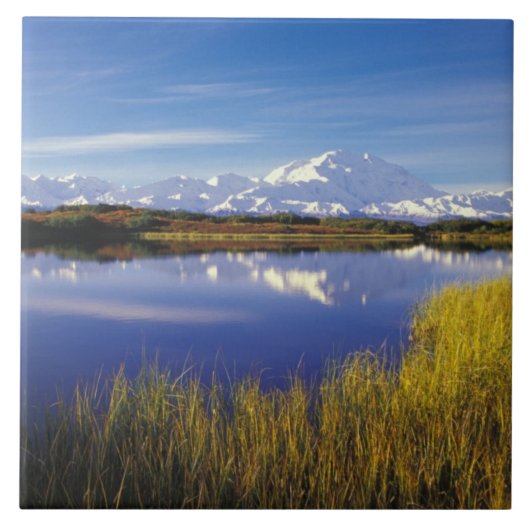 NA、USA、アラスカ、デナリNP山マッキンリー タイル (正面)