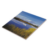 NA、USA、アラスカ、デナリNP山マッキンリー タイル (側面)