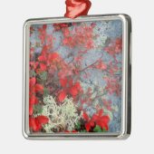 NA、USA、アラスカ、デナリNP、ベアベリー、 メタルオーナメント (左)