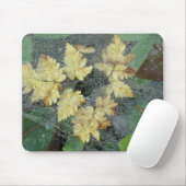 NA、USA、アラスカ、ナンシー湖。クモの巣の露 マウスパッド (マウス)