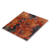 NA、USA、アリゾナ、サンザビエル。クラレットカップサボテン タイル (側面)