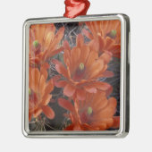 NA、USA、アリゾナ、サンザビエル。クラレットカップサボテン メタルオーナメント (左)