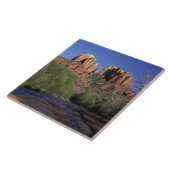 NA、USA、アリゾナ、セドナ。カテドラルロックアンドオーク タイル (側面)