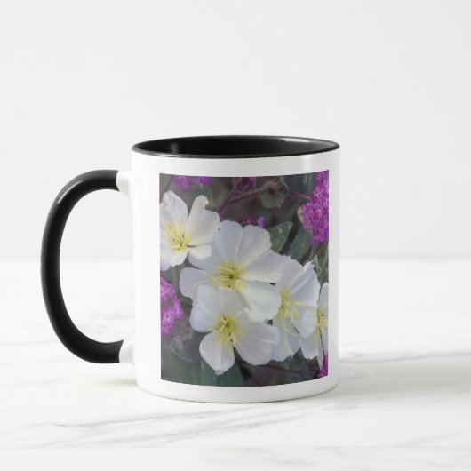 NA、USA、カリフォルニア、アンザボレゴ砂漠州 マグカップ (左)