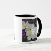 NA、USA、カリフォルニア、アンザボレゴ砂漠州 マグカップ (正面右)