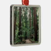 NA、USA、カリフォルニア、マリン郡、ミューア·ウッズ メタルオーナメント (右)