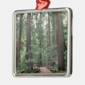 NA、USA、カリフォルニア、マリン郡、ミューア·ウッズ メタルオーナメント (左)