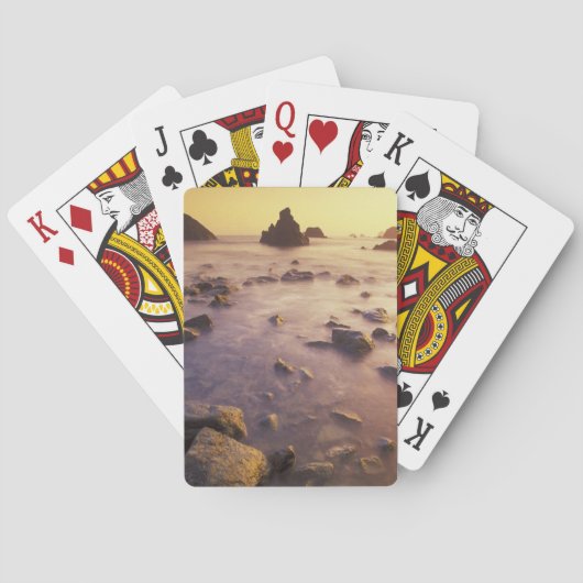 NA、USA、カリフォルニア、北カリフォルニア、 トランプ (裏面)