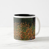 NA、USA、テキサス州、ヒルカントリー、ブラ絵を描シと ツートーンマグカップ (正面右)