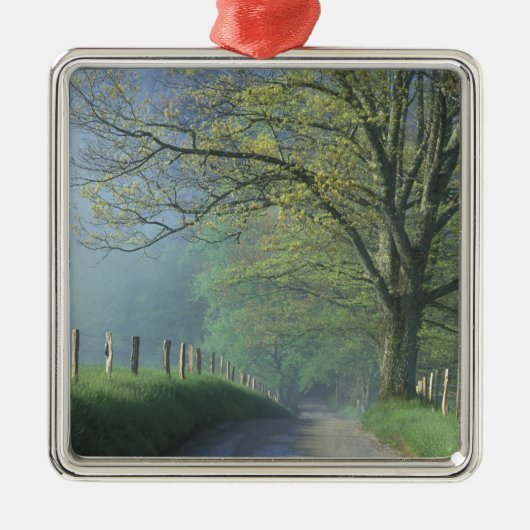 NA、USA、テネシー、ケードス·コーブ、スモ素晴らしーキー メタルオーナメント (正面)