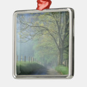 NA、USA、テネシー、ケードス·コーブ、スモ素晴らしーキー メタルオーナメント (左)