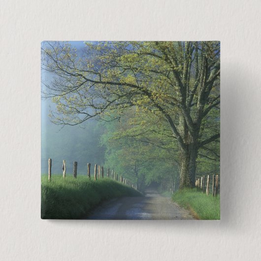 NA、USA、テネシー、ケードス·コーブ、スモ素晴らしーキー 缶バッジ (正面)