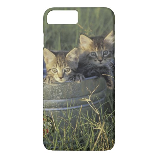 NA, USA, フロリダ, 田舎のフロリダ。生後8週間の Case-Mate iPhoneケース (裏面)
