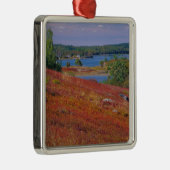 NA、USA、メイン。ブルーベリー·バレンス。 メタルオーナメント (右)