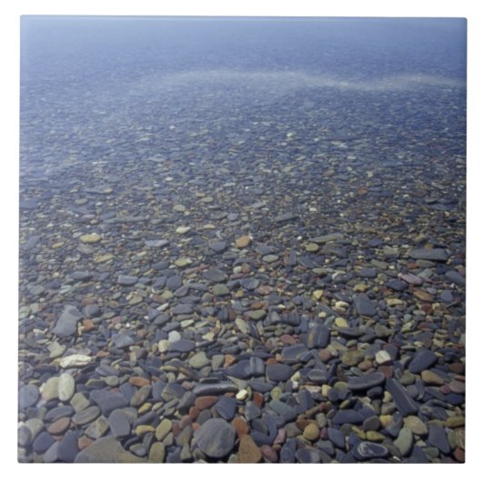 NA、USA、モンタナ、氷河NPロックズインレイク タイル (正面)