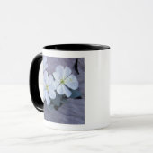 NA, USA，ユタ，アルシュNP,夕べ マグカップ (正面左)